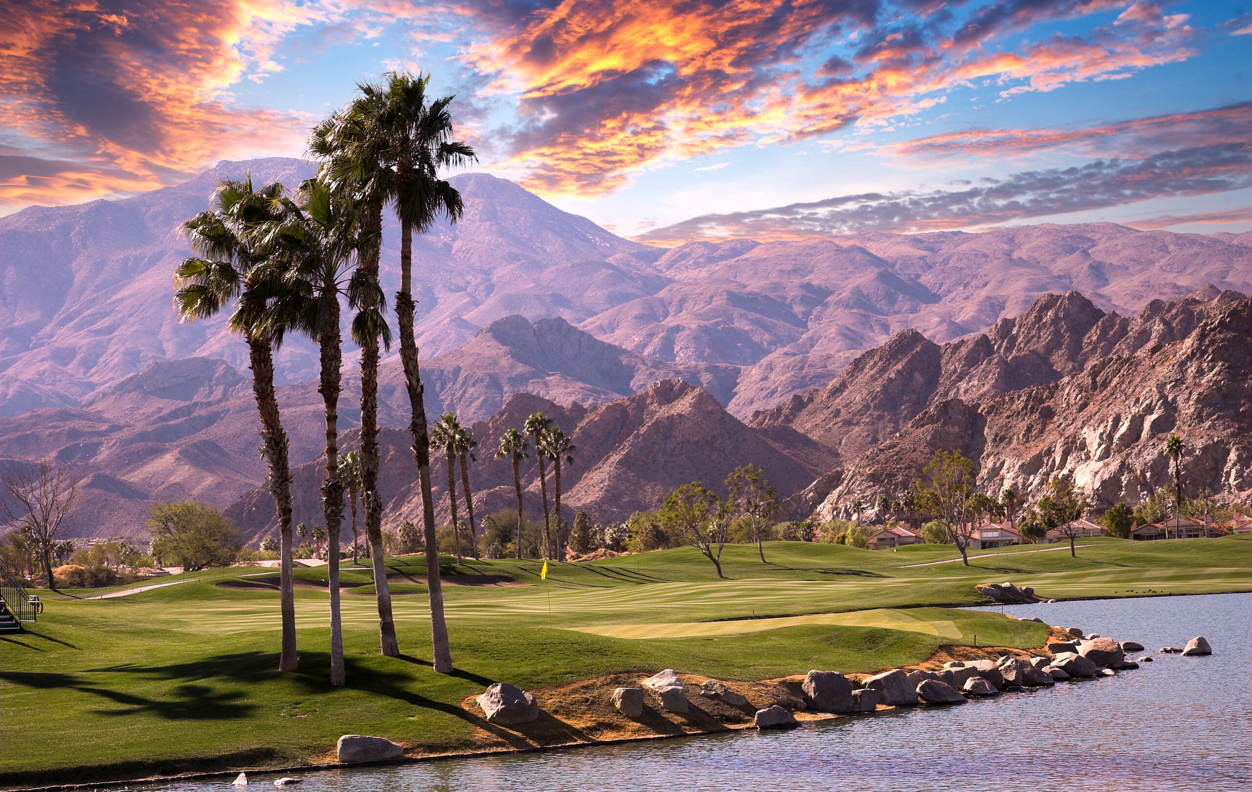 Palm Spring