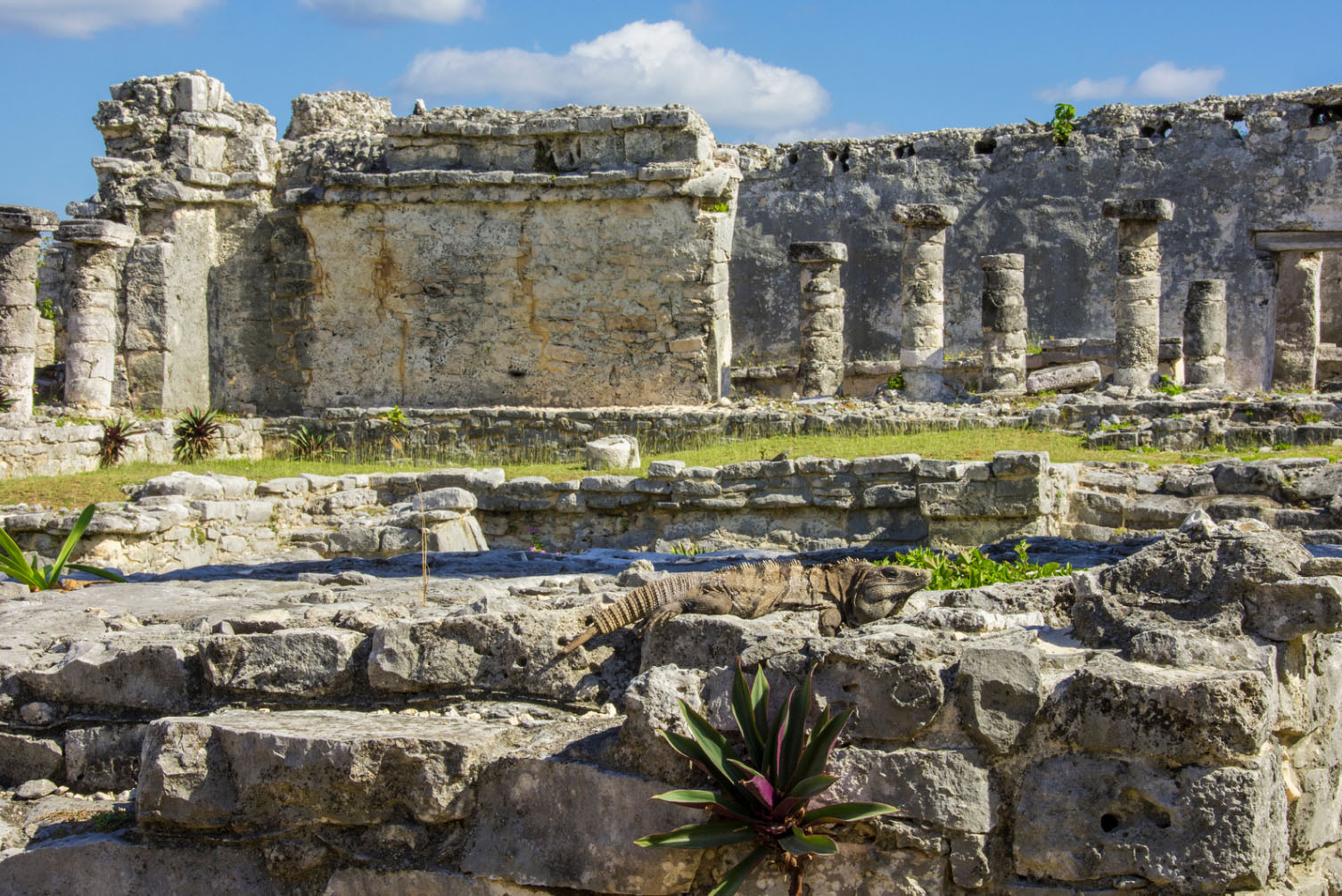 Ancient Mayan ruins in Tulum, Mexico, featuring weathered stone columns and walls under a bright blue sky, with an iguana resting on the rocks in the foreground.
