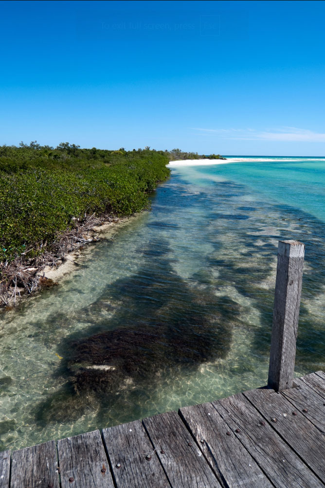 Scenic view of a wooden dock overlooking the crystal-clear turquoise waters and lush greenery of a coastal lagoon under a bright blue sky.