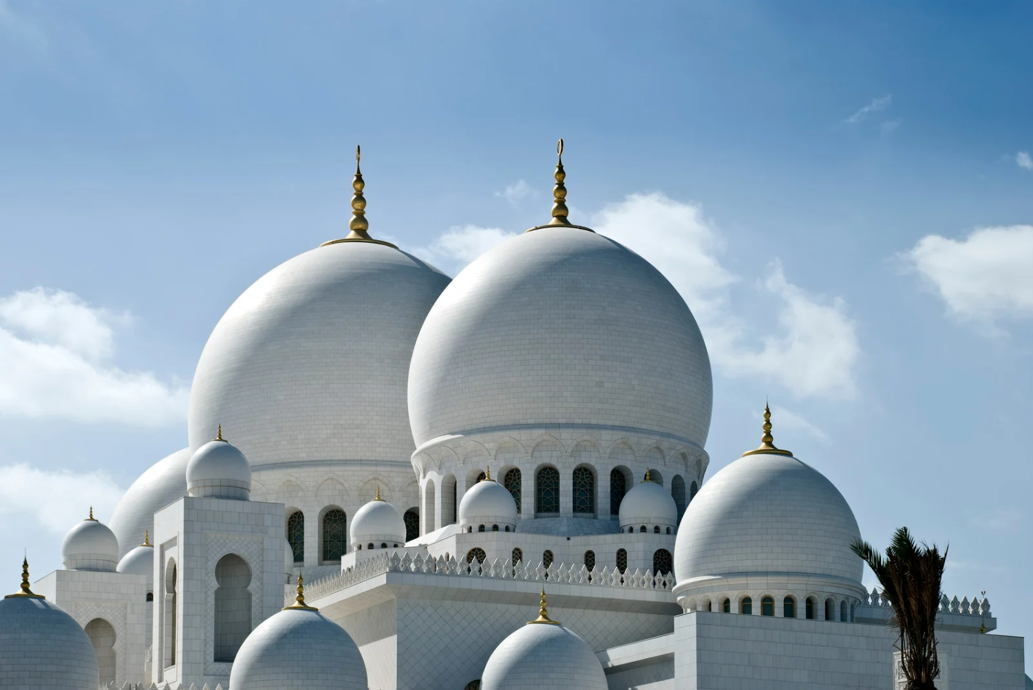 Grand Mosque- Abu Dhabi