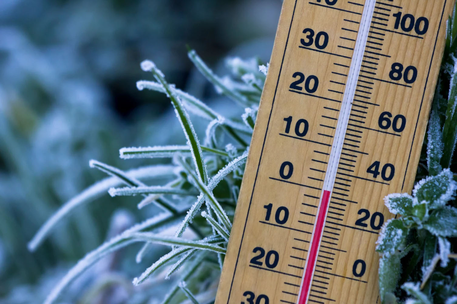 A wooden thermometer displaying a temperature below 0°C, surrounded by frosty green grass, indicating a cold environment.