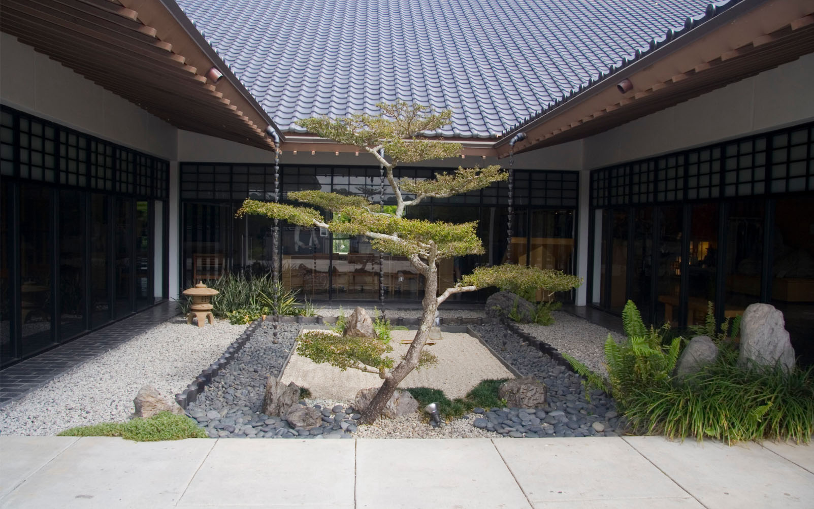 A tranquil Japanese garden with a carefully manicured tree, rocks, and gravel, enclosed within a traditional Japanese architectural courtyard.