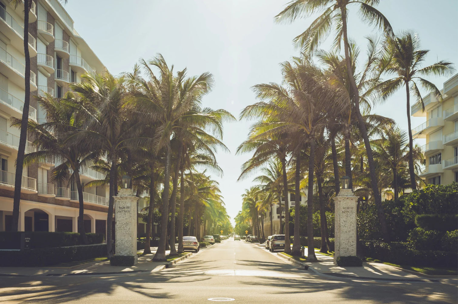 Palm tree-lined street in Palm Beach, with luxury buildings on either side and a sunny, clear sky.