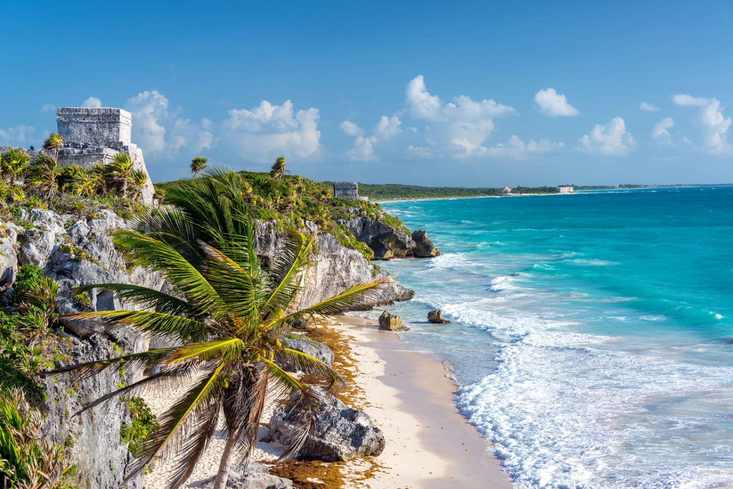 A scenic view of Tulum, Mexico, showing ancient Mayan ruins on a rocky cliff, with a palm tree in the foreground and the turquoise ocean in the background.