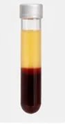 viva pp prp tube